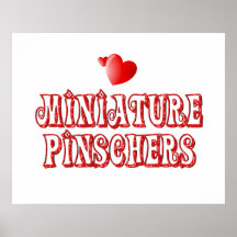 Love for Miniature Pinschers Poster