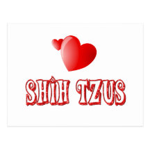 Love for Shih Tzus Postcard