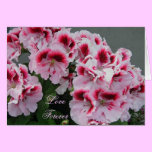 Love Forever Pelargonium Note Card cards