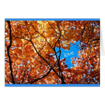 love found in nature cards by vanpinni love found in nature cards
