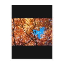 love found in nature postcards by vanpinni love found in nature postcards
