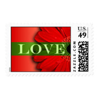 Love Gerbera Daisy Wedding Postage Stamp