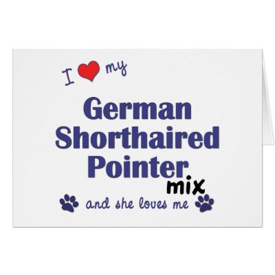 Love German Shorthaired Pointer Mix (Female Dog) Card by muttybuddy