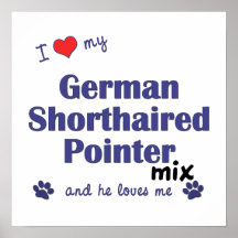 Love German Shorthaired Pointer Mix (He) Poster