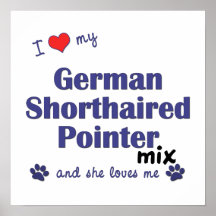 Love German Shorthaired Pointer Mix (She) Poster