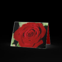 LOVE! Greeting card