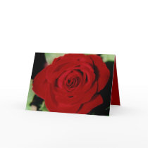 LOVE! Greeting card by zazzitup LOVE! Greeting card