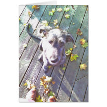 Love Greeting Card