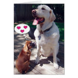 Love Greeting Card (with Dogs) cards