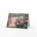 "Love Heals Scars" Wildlife notecards