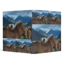Love Horses ~Binder by 1drafthorse Love Horses ~Binder