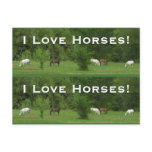 Love Horses! Bookmarkers - Customize! Post Card