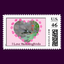 Love Hummingbirds Postage postage