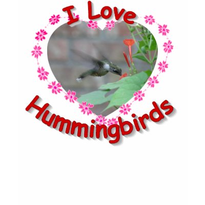 Love Hummingbirds T-Shirt by naturegirl7