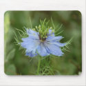 Love in a Mist mousepads by littlewingdesign Love in a Mist mousepads