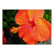 Love In Bloom - blank cards