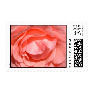Love in bloom stamp
