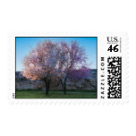 Love in Spring Stamps