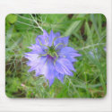 love in the mist flower mousepads