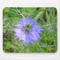 love in the mist flower mousepads by dawnmcininch love in the mist flower mousepads
