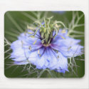 Love in the Mist flower Mousepad