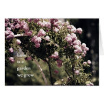 Love is a Garden We Grow Roses Cards