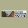 Love is a Golden Retriever