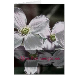 Love is a mysterious force Proverbs 30:18-19 Greeting Card