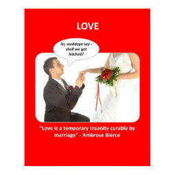 love-is-a-temporary-insanity-curable-by-01 print