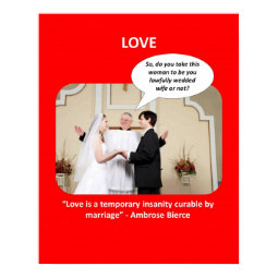 love-is-a-temporary-insanity-curable-by-02 print