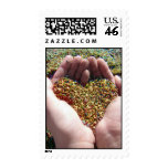 Love is all around us, Colorful Beach Sand Heart Stamp