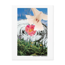 Love is at the Source Post Cards