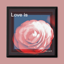 Love is Forever Camellia Rose magnets