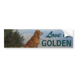 "Love is Golden" Bumper Sticker