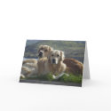 Love is Golden cards by mariondeans Love is Golden cards