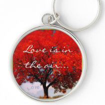 Love is in the air... keychains