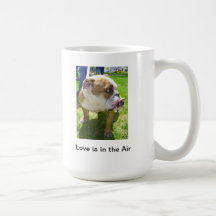 Love is in the Air Mugs