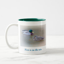 Love is in the air mugs