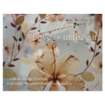 Love is in the Air Personalized Letterhead
