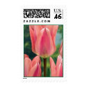 LOVE IS IN THE AIR Postage postage by anewname4s LOVE IS IN THE AIR Postage postage