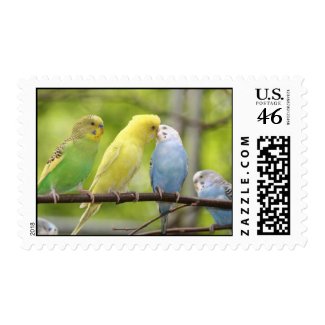 LOVE IS IN THE AIR stamp