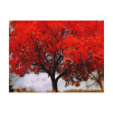 Love is in the air... postcards by samack Love is in the air... postcards