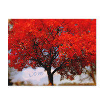 Love is in the air... postcards
