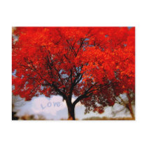 Love is in the air... postcards