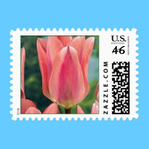 LOVE IS IN THE AIR,SmPostage - postage