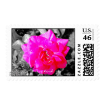 Love is Kind...Stamp