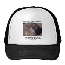 Love Is Like Petrified Wood ...Preserved Over Time Hat