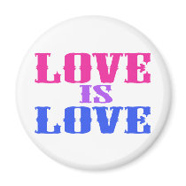 Love Is Love magnets