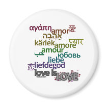 Love Is Love magnets