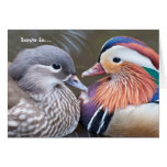 Love is... Mandarins cards